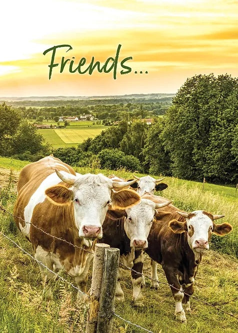 PS16056 Friendship Card