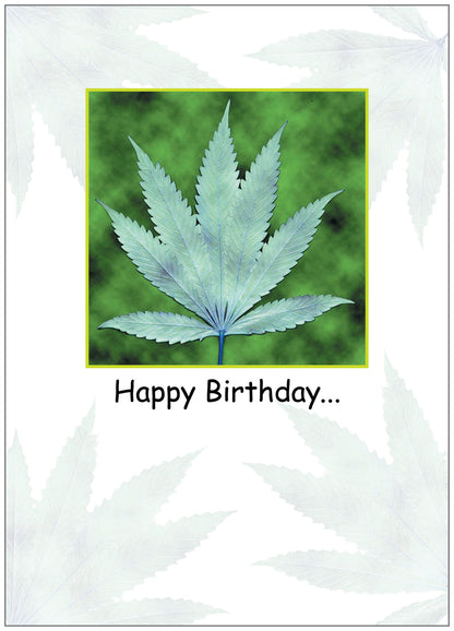 SA6139 Birthday Card