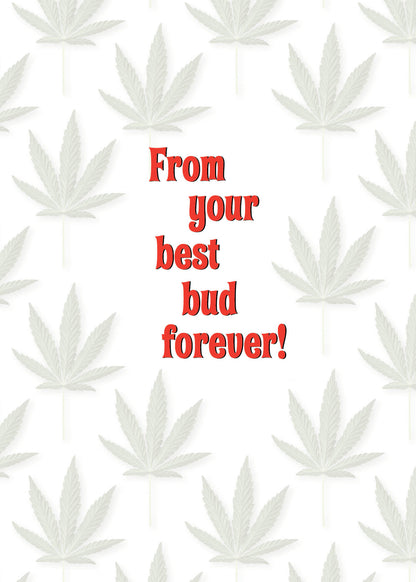 SAH7060 Holiday Card