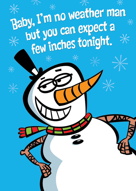 SAS6616 Holiday Card