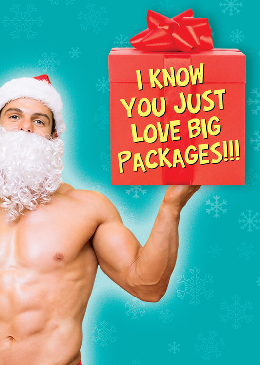 SAS6733 Holiday Card