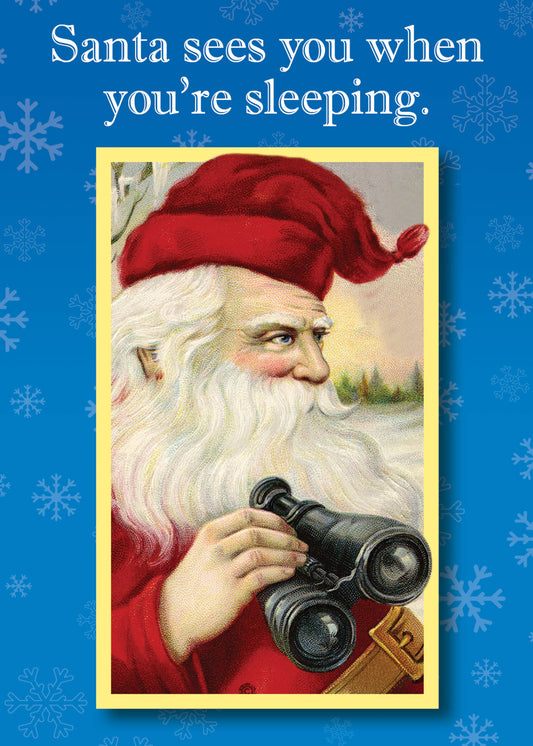 SASBX6806 Holiday Card Boxed