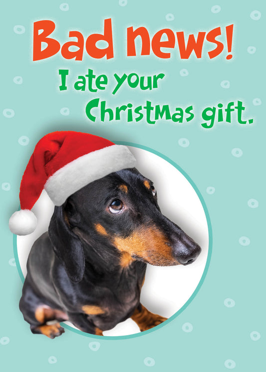 SAS7016 Holiday Card