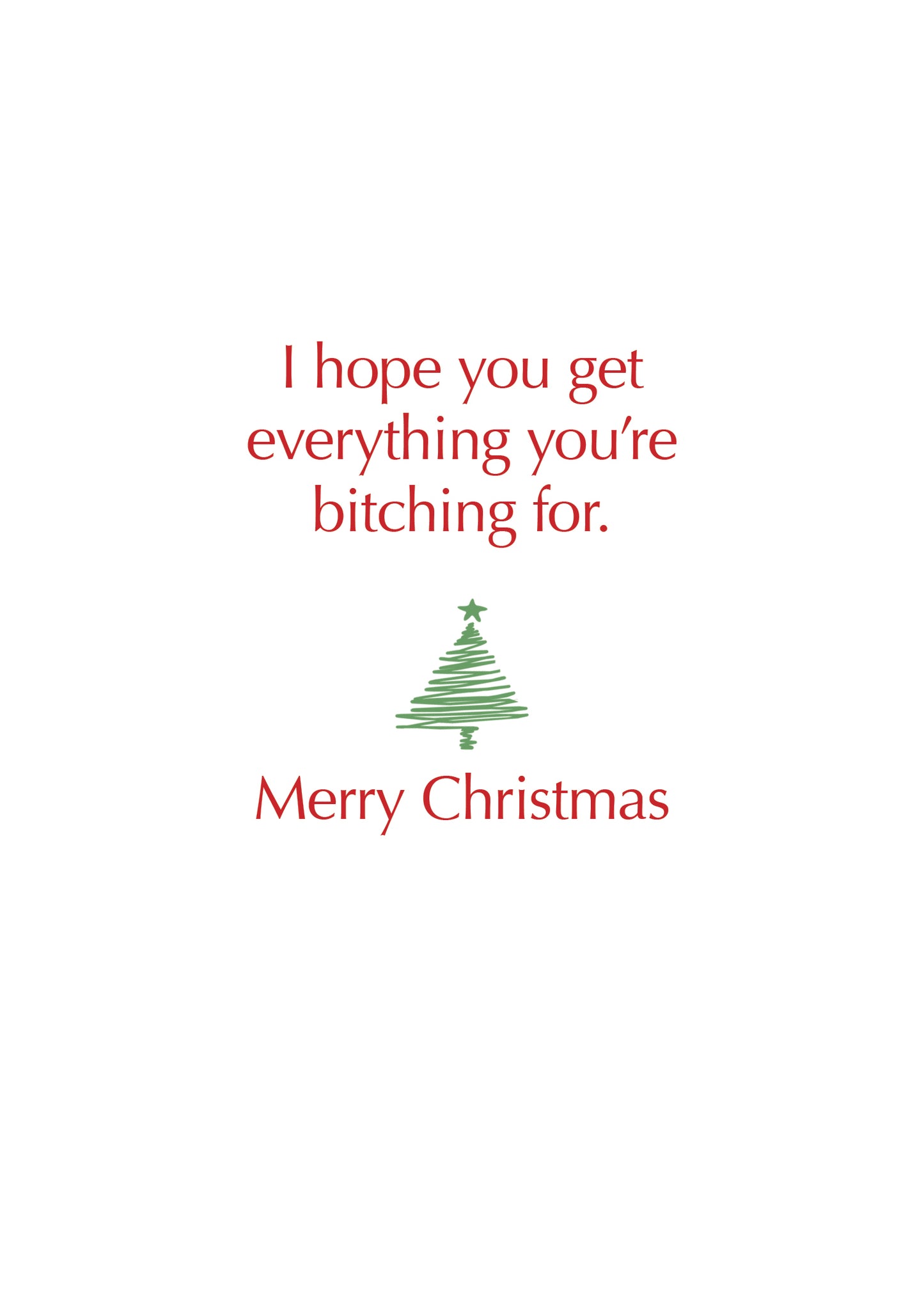 SAS788 Holiday Card
