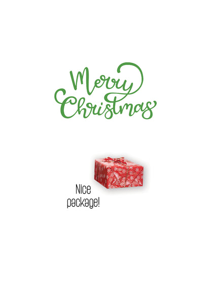 SAS7091 Holiday Card