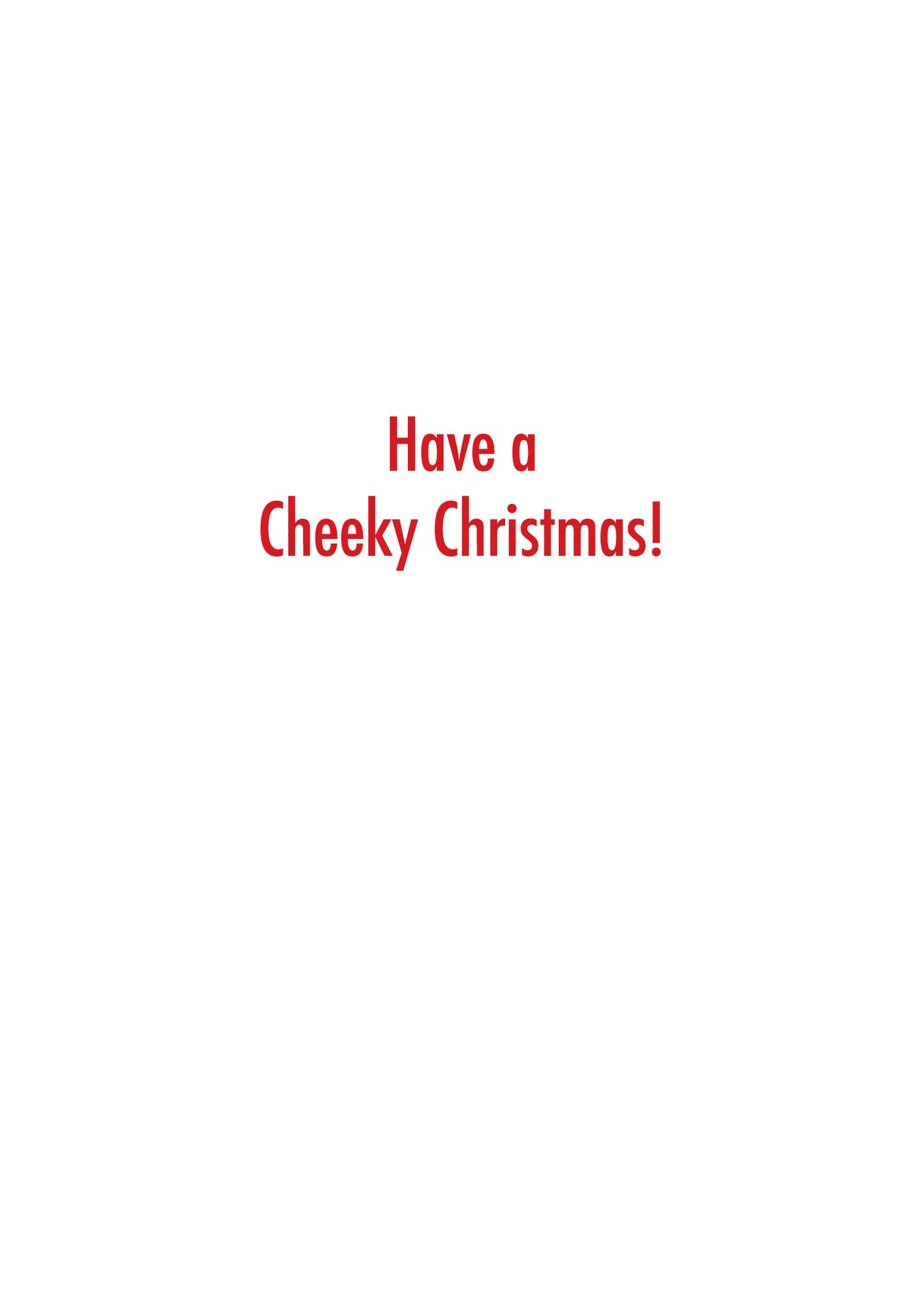 SASBX7148 Holiday Card Boxed