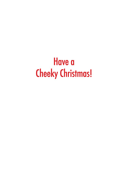 SASBX7148 Holiday Card Boxed