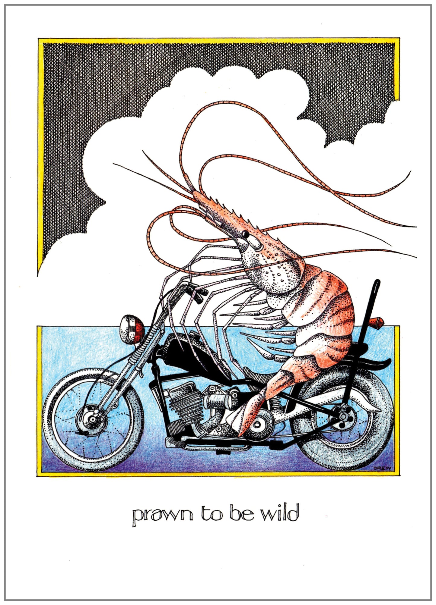 SD039 All Occasion Card