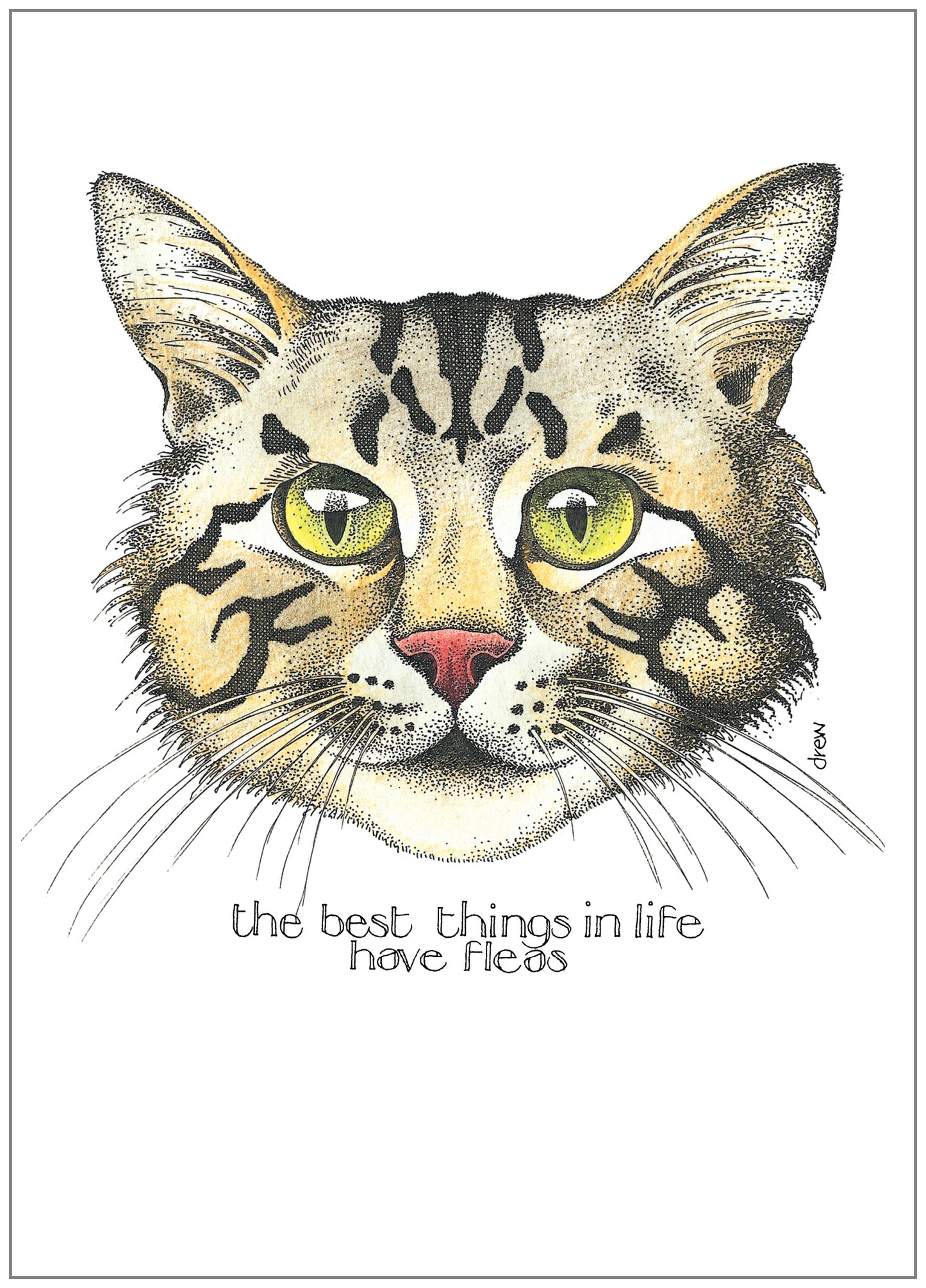 SD099 All Occasion Card