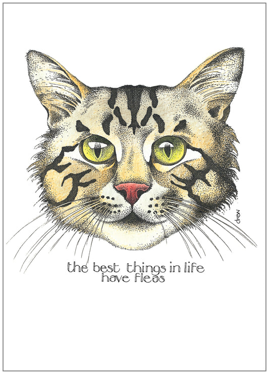 SD099 All Occasion Card