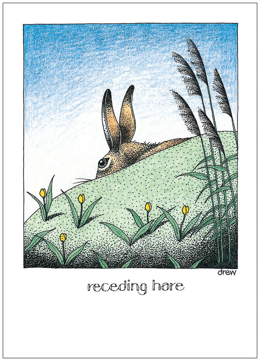 SD109 All Occasion Card