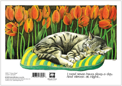 SD159 All Occasion Card