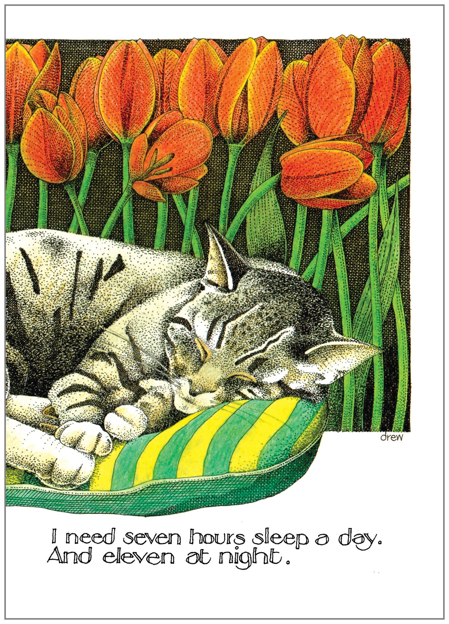 SD159 All Occasion Card