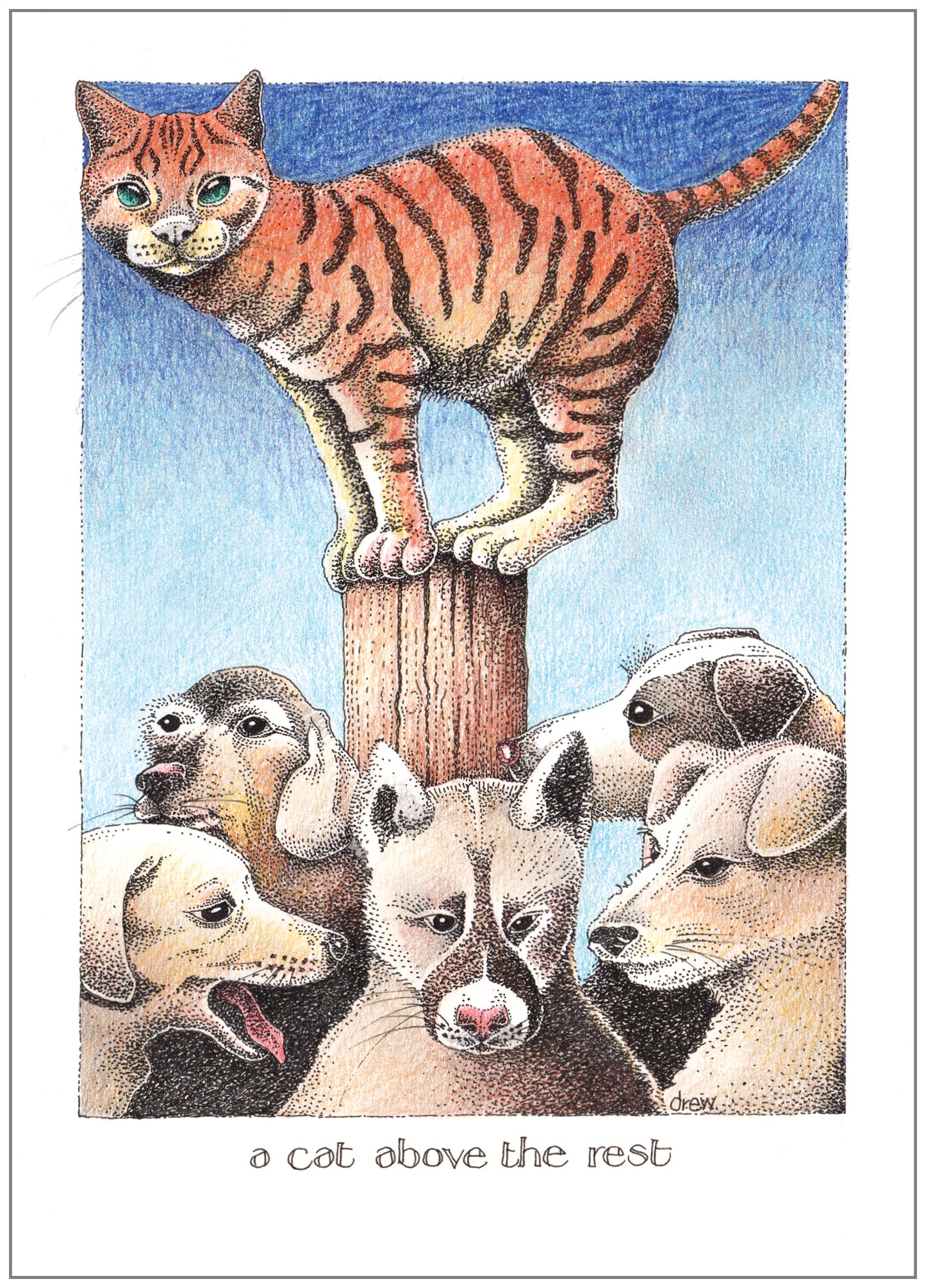 SD194 All Occasion Card