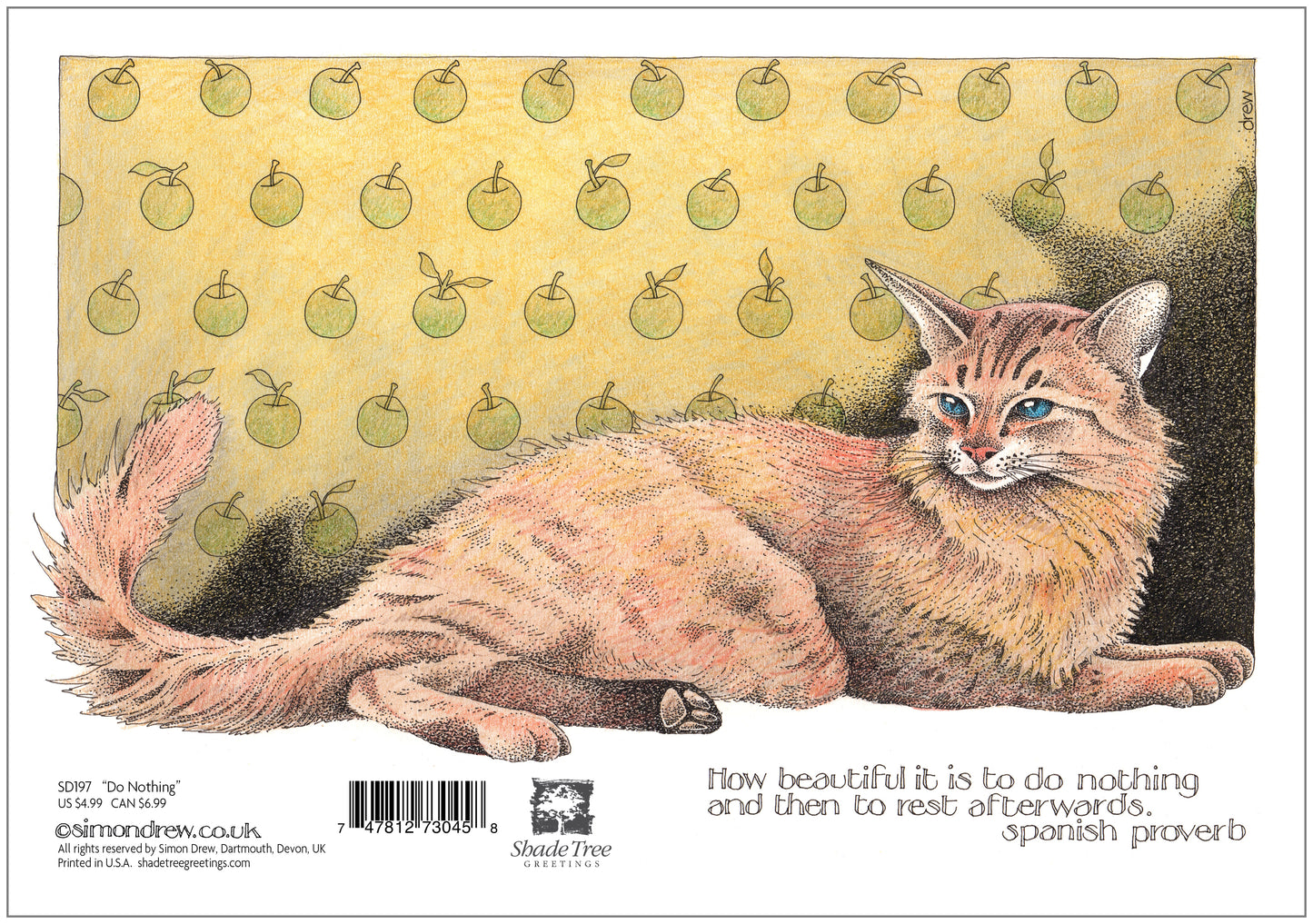 SD197 All Occasion Card