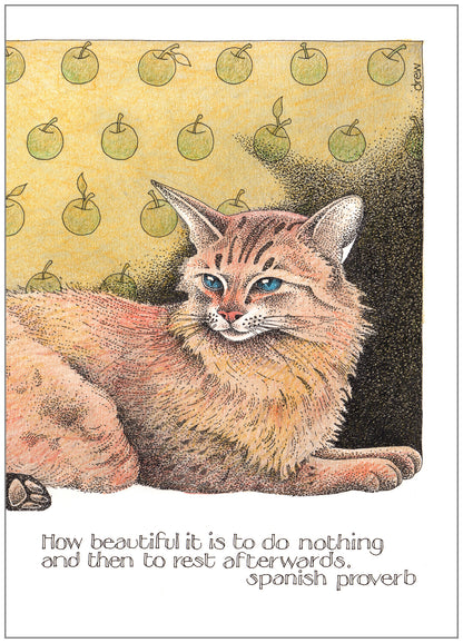 SD197 All Occasion Card