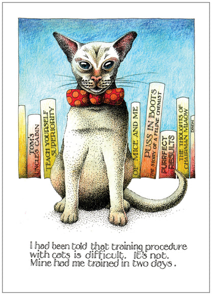 SD202 All Occasion Card