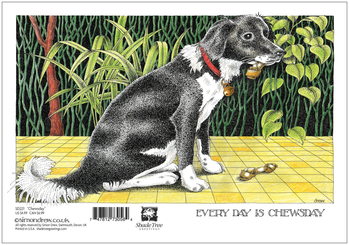 SD243 All Occasion Card
