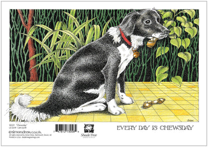 SD243 All Occasion Card