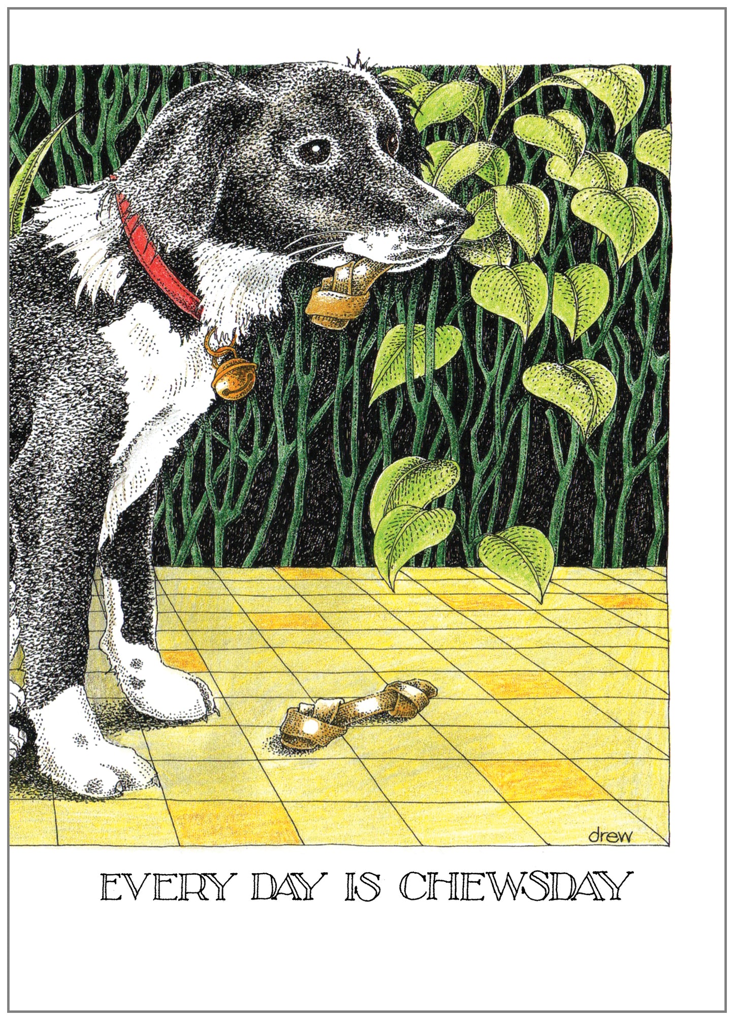 SD243 All Occasion Card