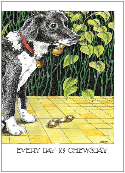 SD243 All Occasion Card