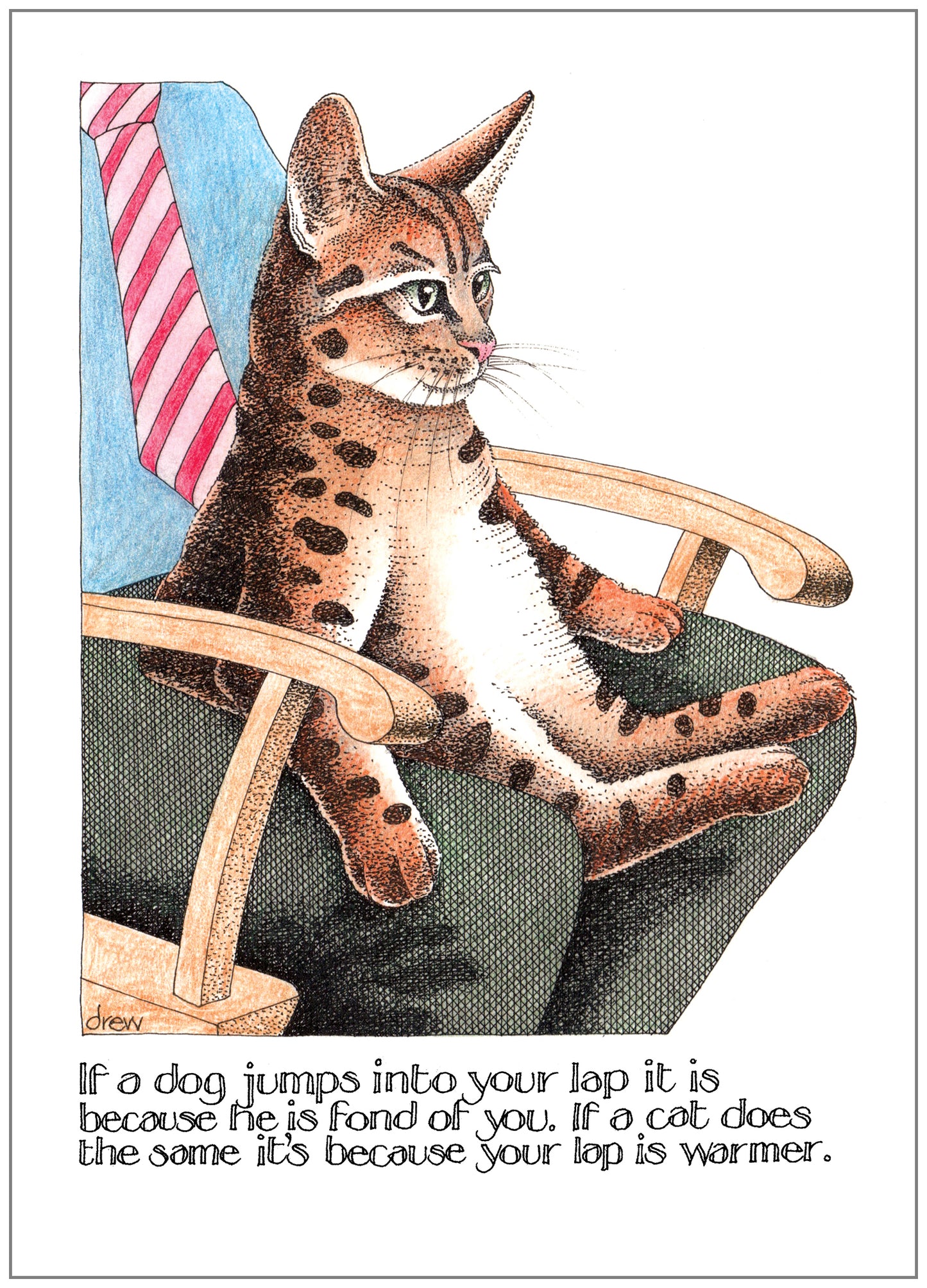 SD238 Congratulations Card