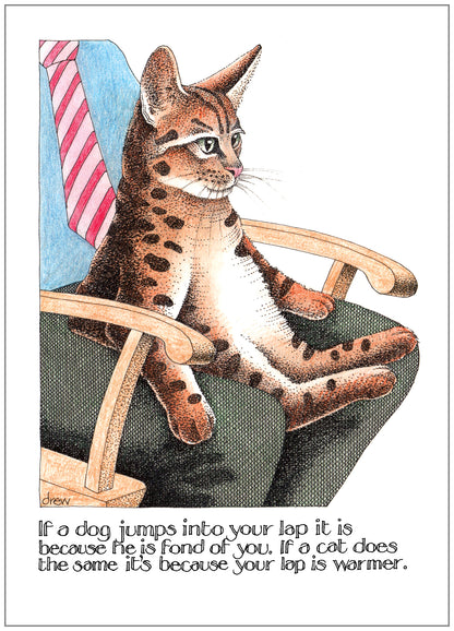 SD238 Congratulations Card