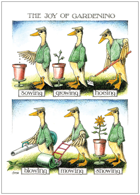 SD234 All Occasion Card