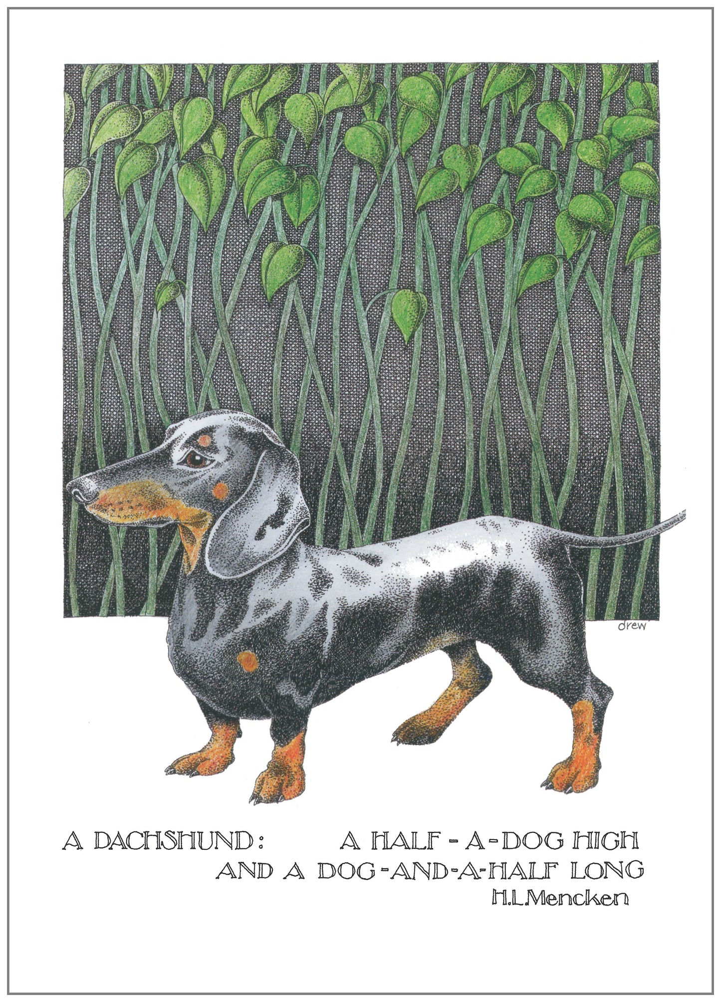 SD244 All Occasion Card