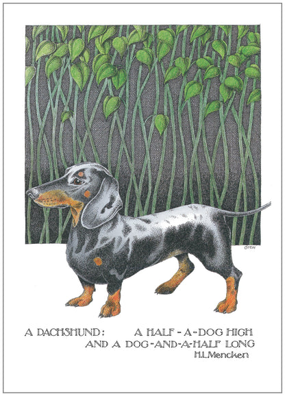 SD244 All Occasion Card
