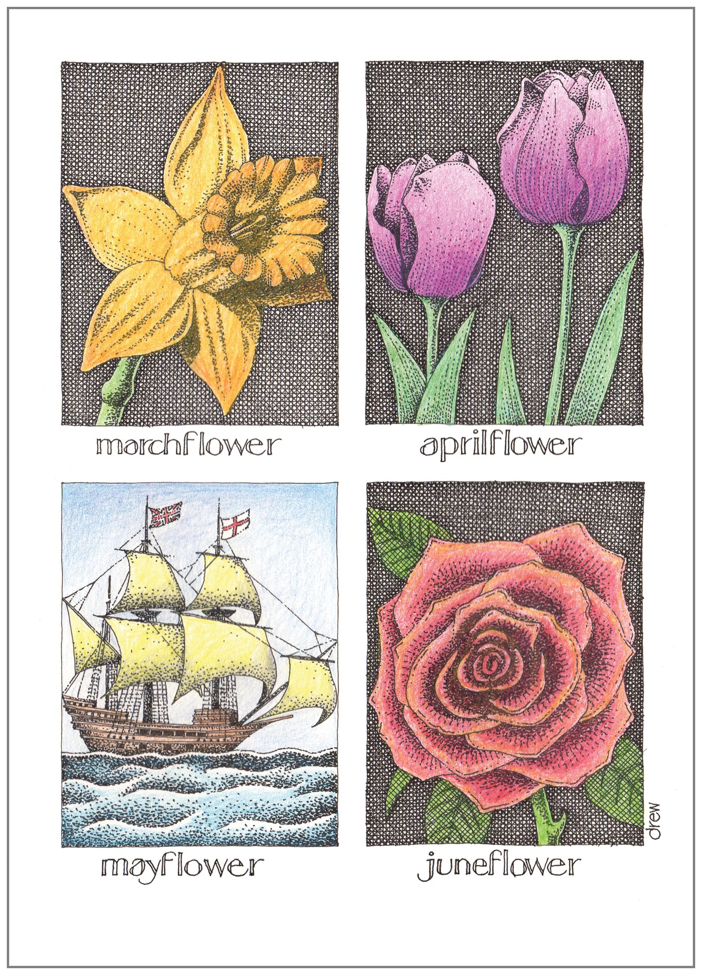 SD246 All Occasion Card