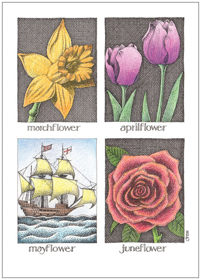SD246 All Occasion Card