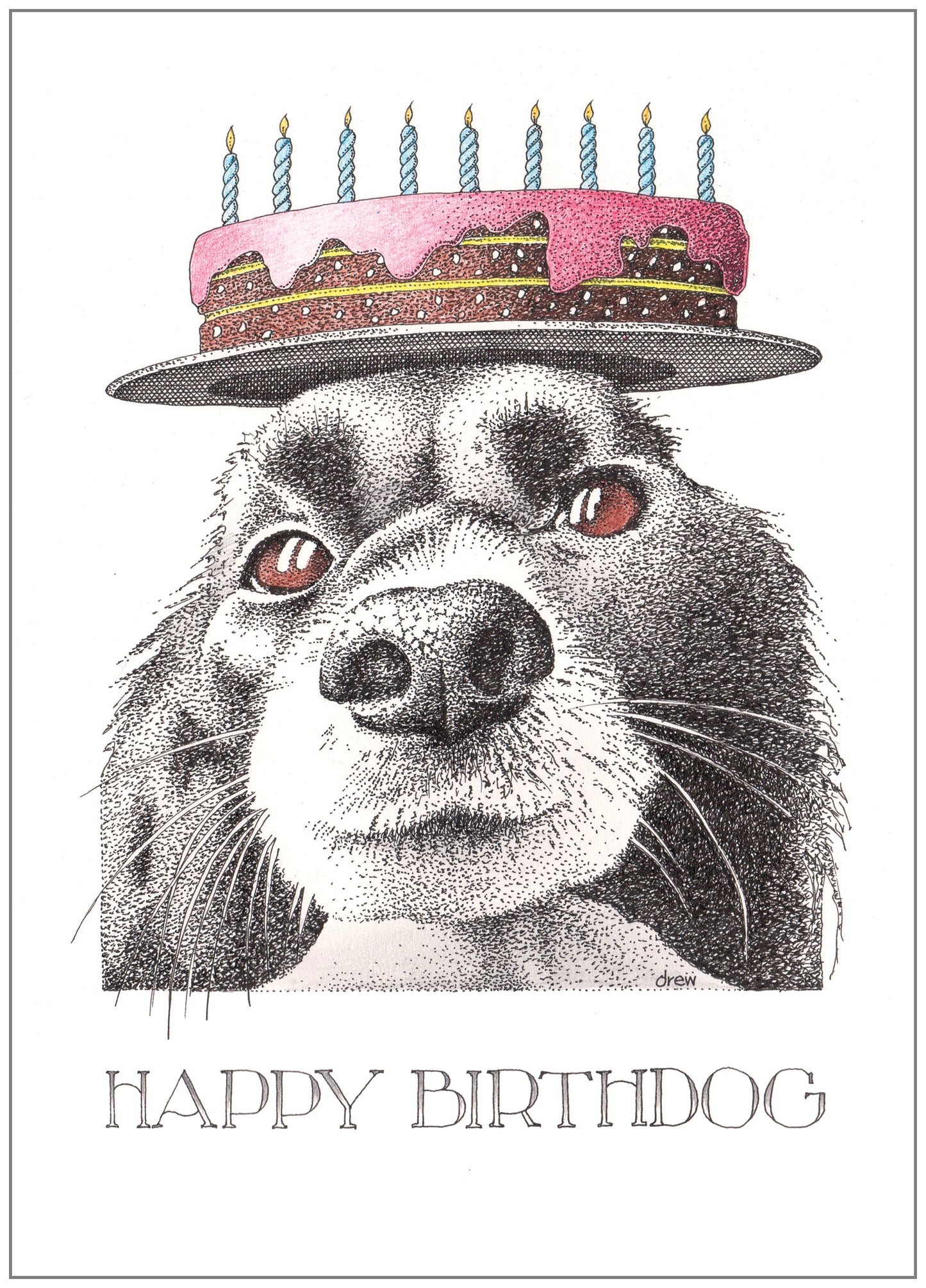 SD249 Birthday Card