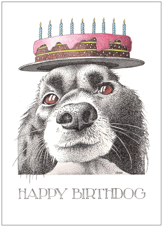 SD249 Birthday Card