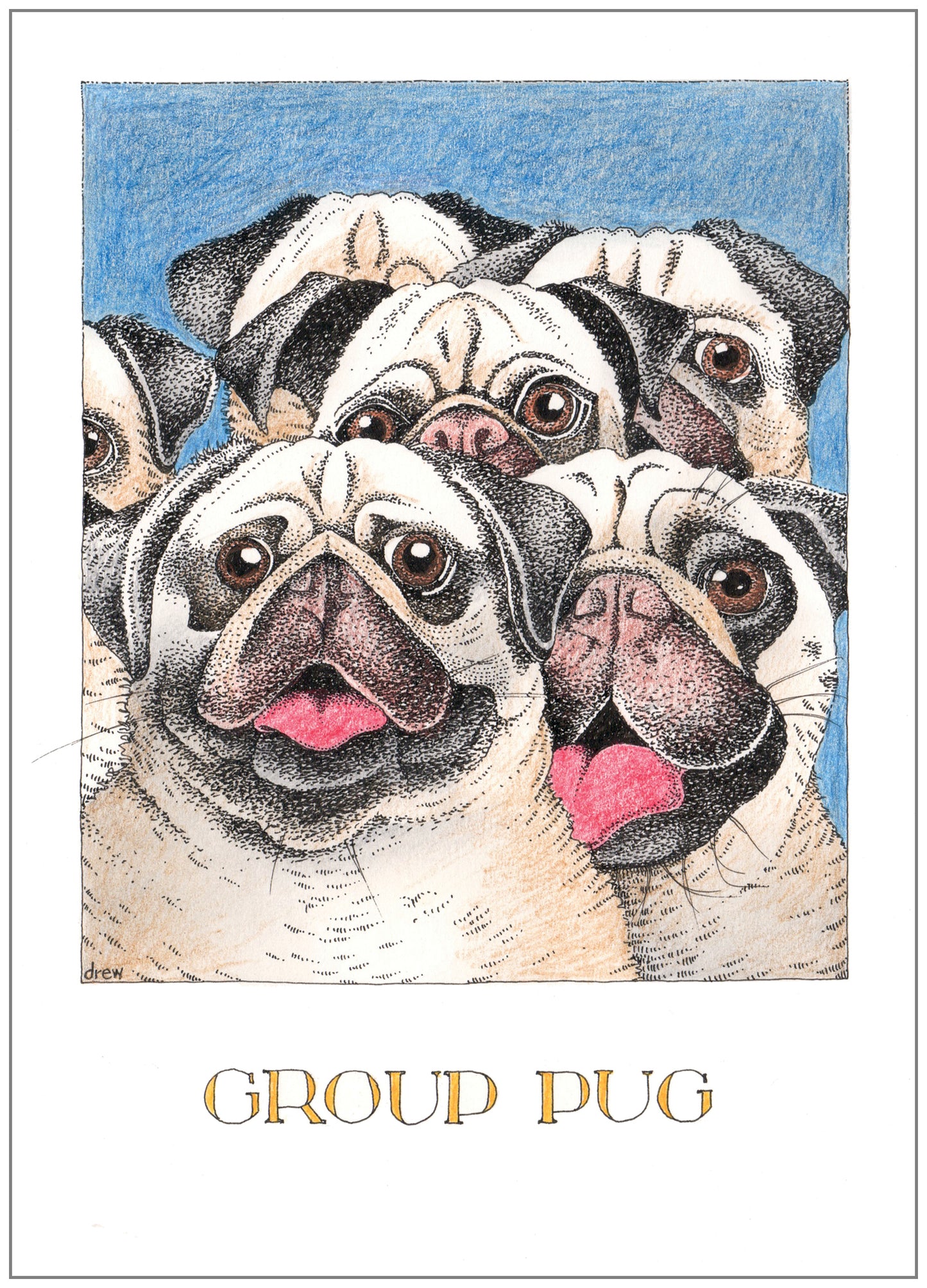 SD250 All Occasion Card