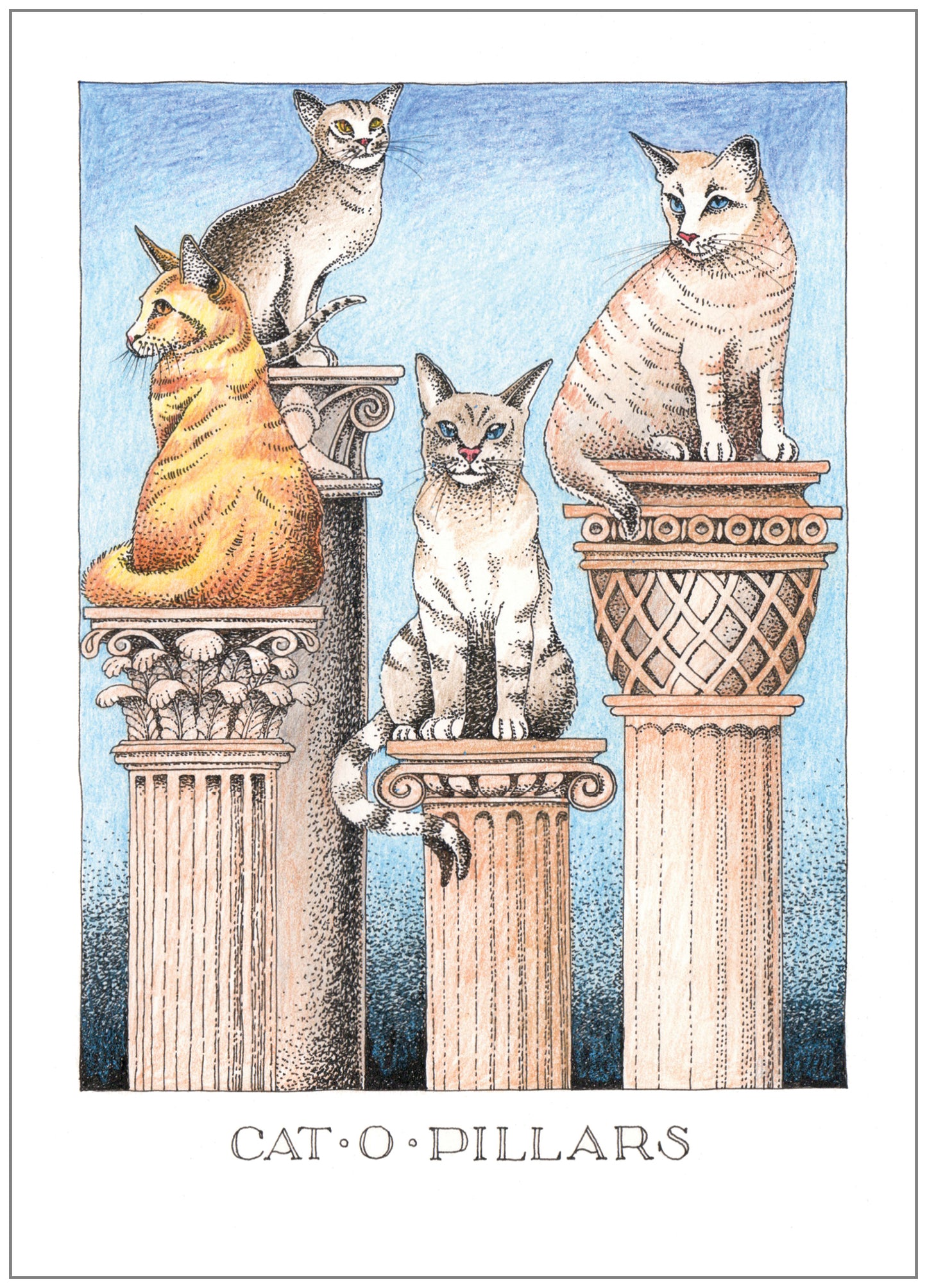 SD251 All Occasion Card