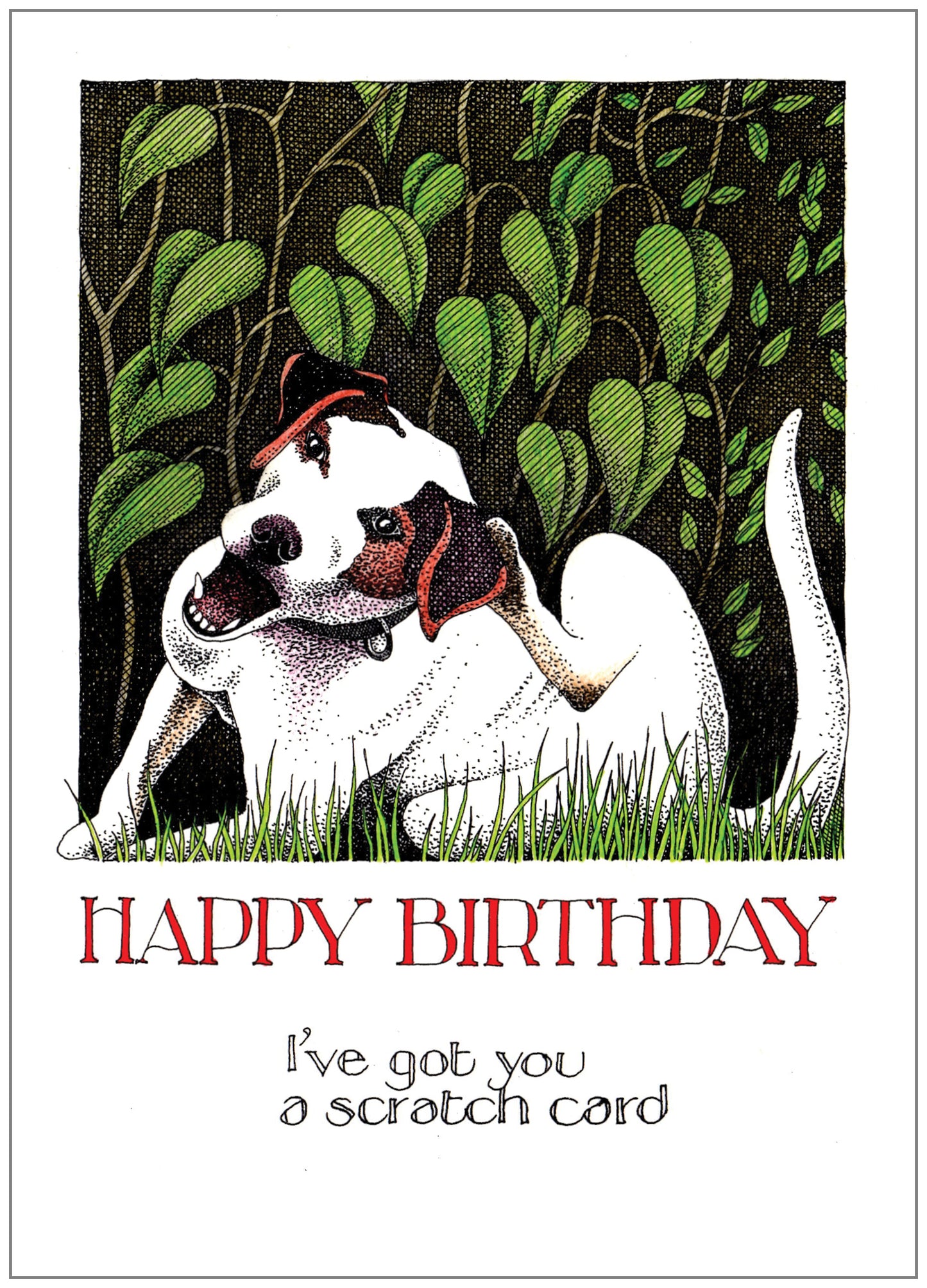SD255 Birthday Card