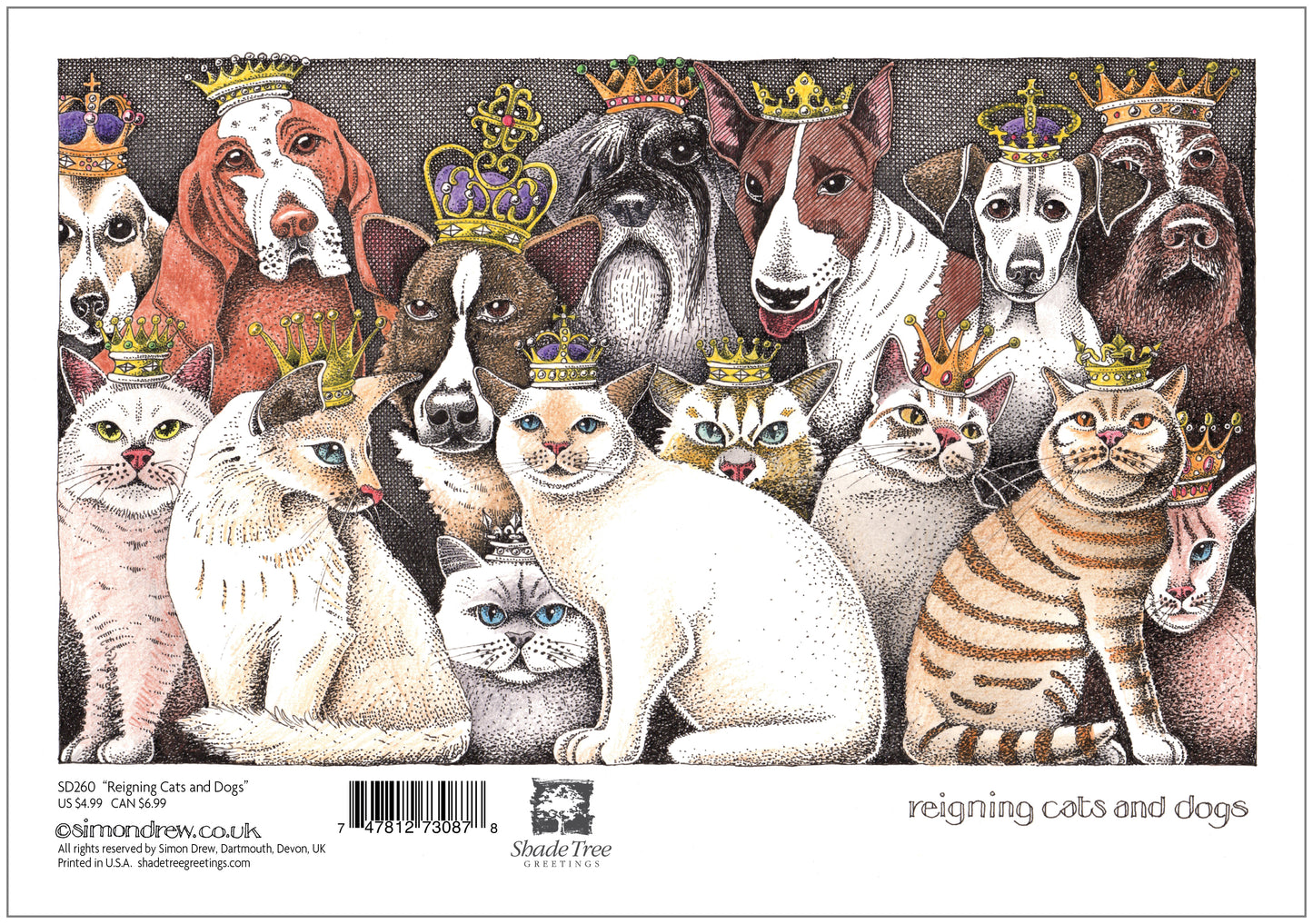 SD260 All Occasion Card
