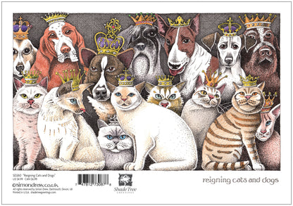 SD260 All Occasion Card