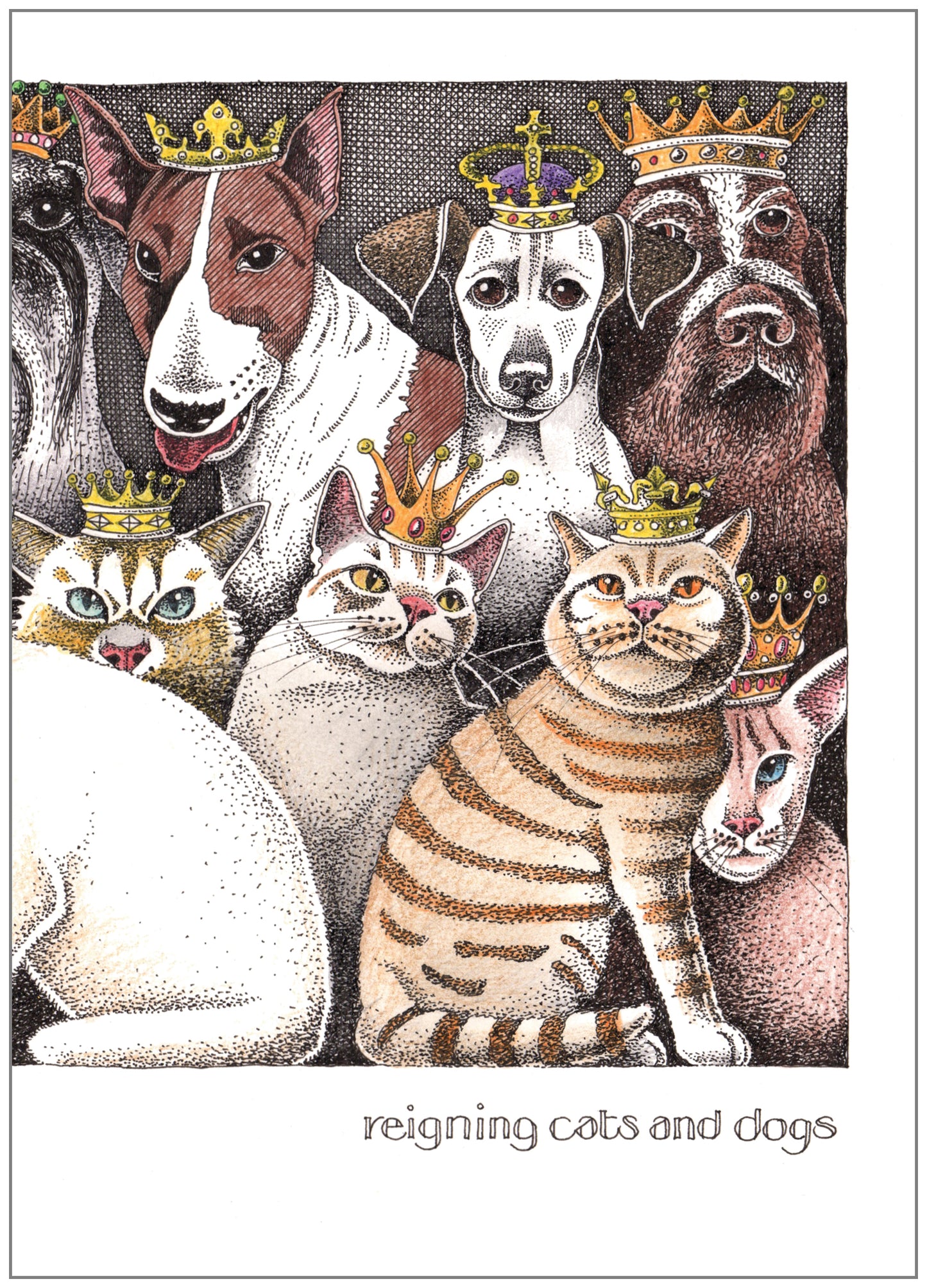 SD260 All Occasion Card