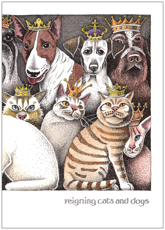 SD260 All Occasion Card
