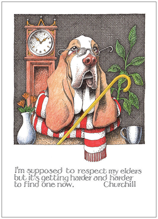 SD262 Birthday Card