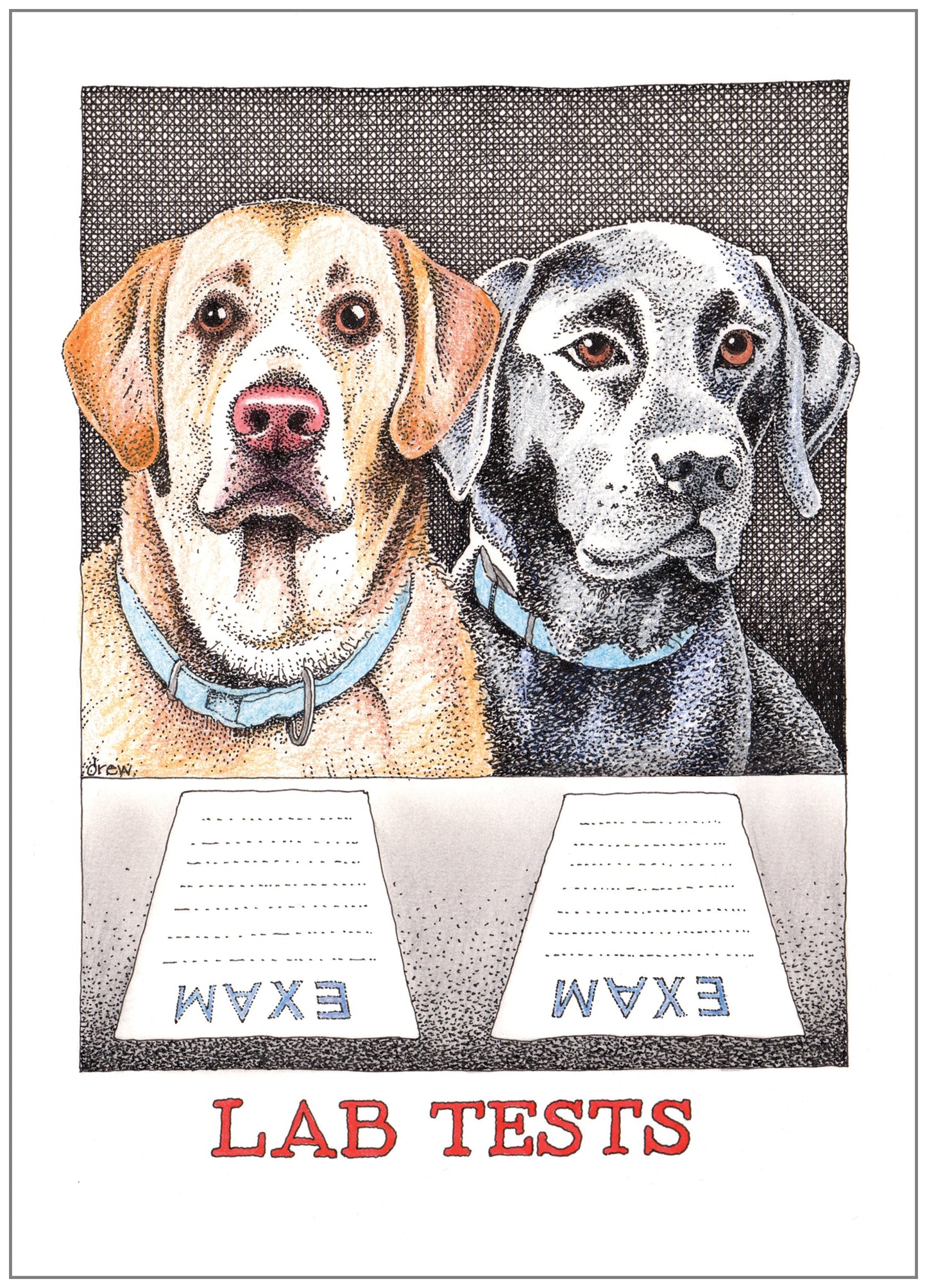 SD264 All Occasion Card