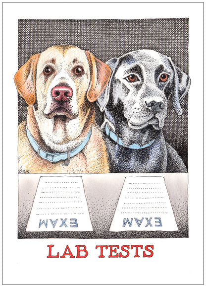 SD264 All Occasion Card