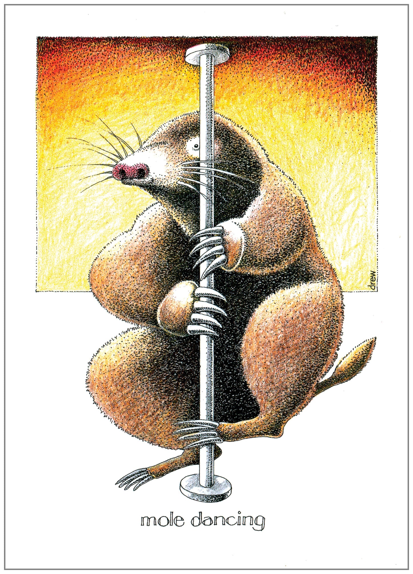 SD778 All Occasion Card