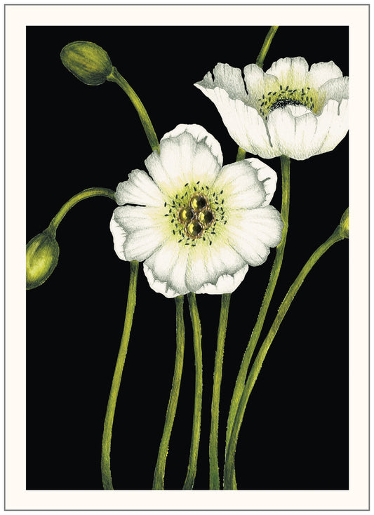 SEH AO063 Sympathy Card