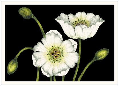 SEH AO698 Sympathy Card