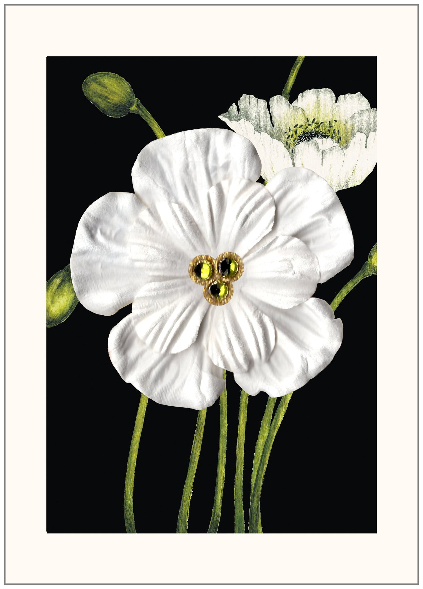 SEH CCC005 Greeting Card