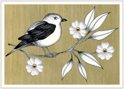 SEH CCC171 Birthday Card