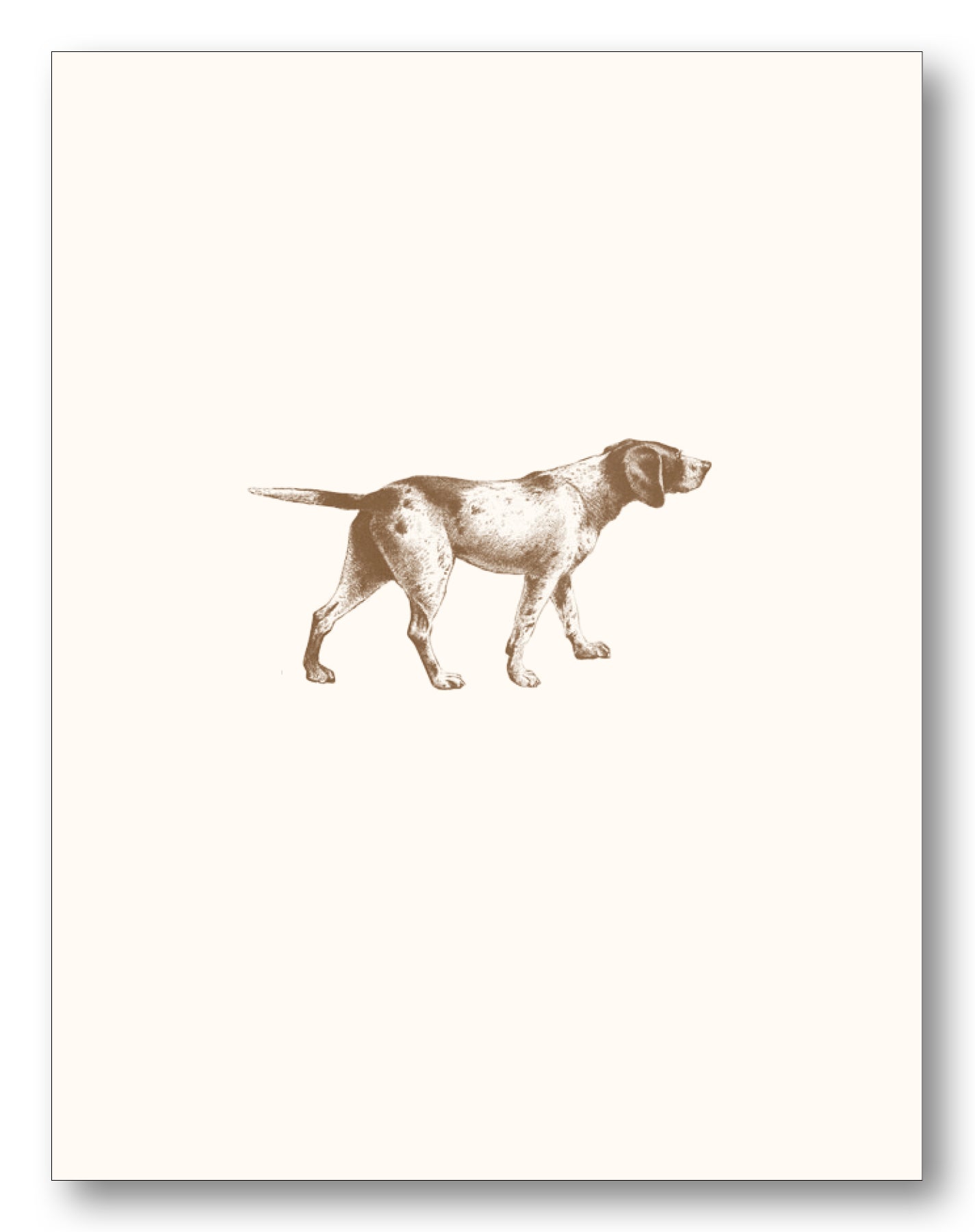 Dogs Boxed Note Cards